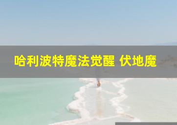 哈利波特魔法觉醒 伏地魔